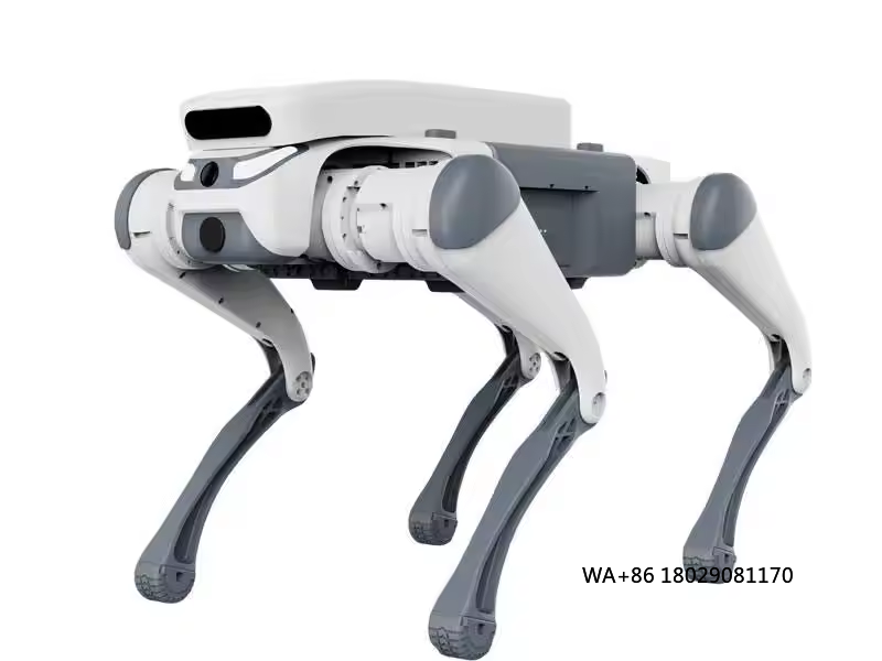 Zdalnie sterowany pies robotyc – Educational Toys recenzja i cena