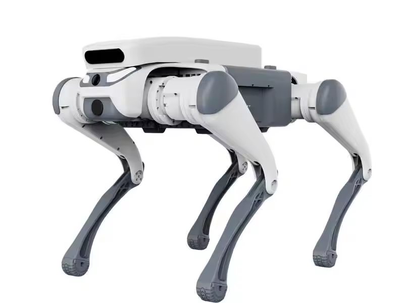 Zdalnie sterowany pies robotyc – Educational Toys recenzja i cena