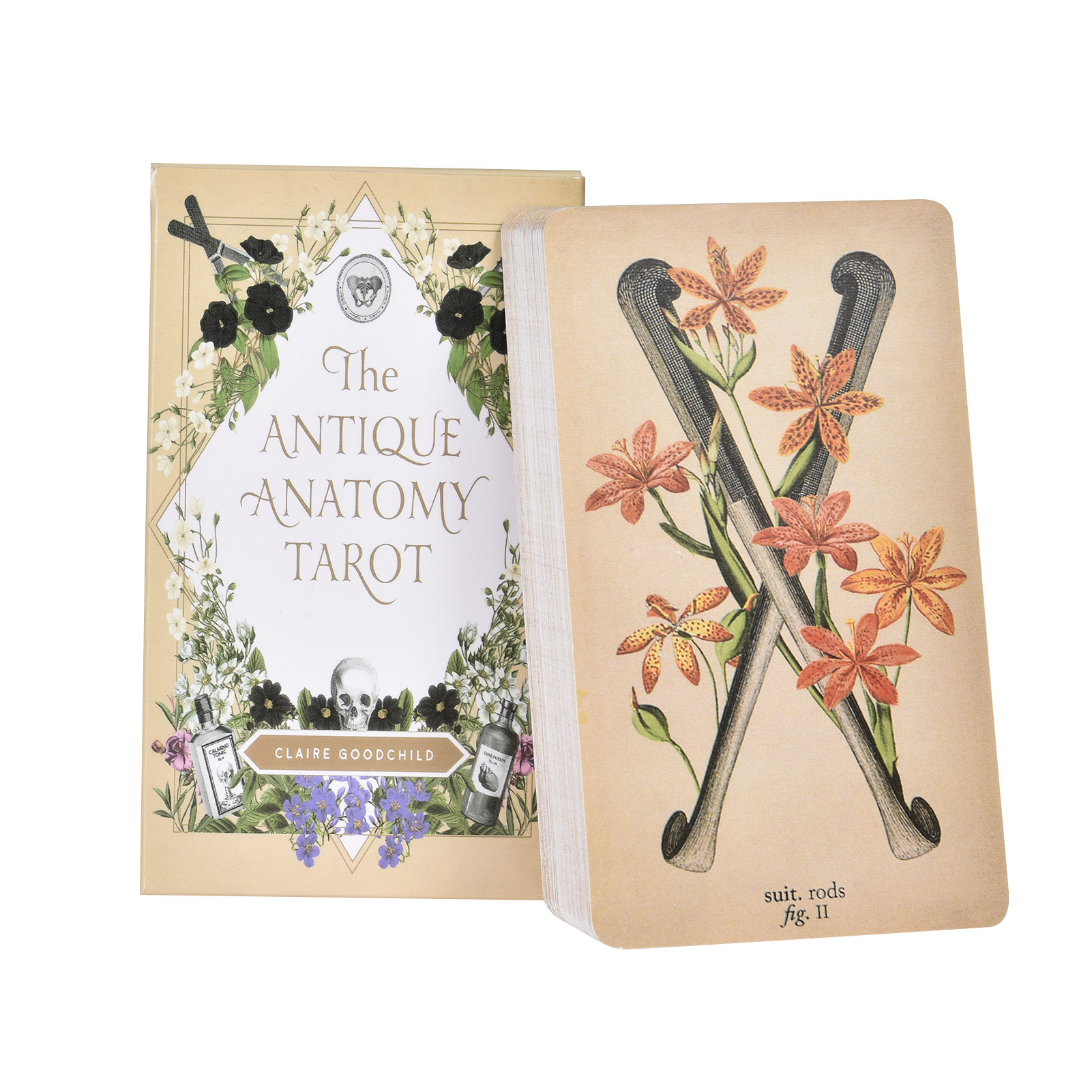 Karty Tarota „Antyczna Anatomi – Tarot Cards Deck With Guidebook recenzja i cena