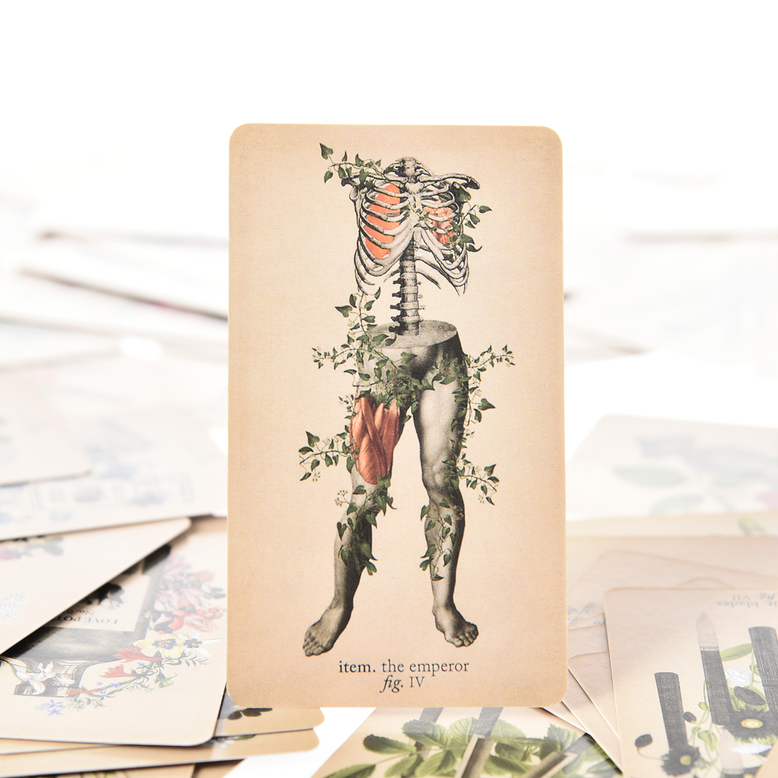 Karty Tarota „Antyczna Anatomi – Tarot Cards Deck With Guidebook recenzja i cena